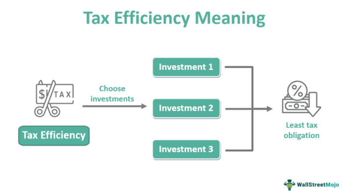 Tax efficiency investing primer bogleheads wiki guide picture