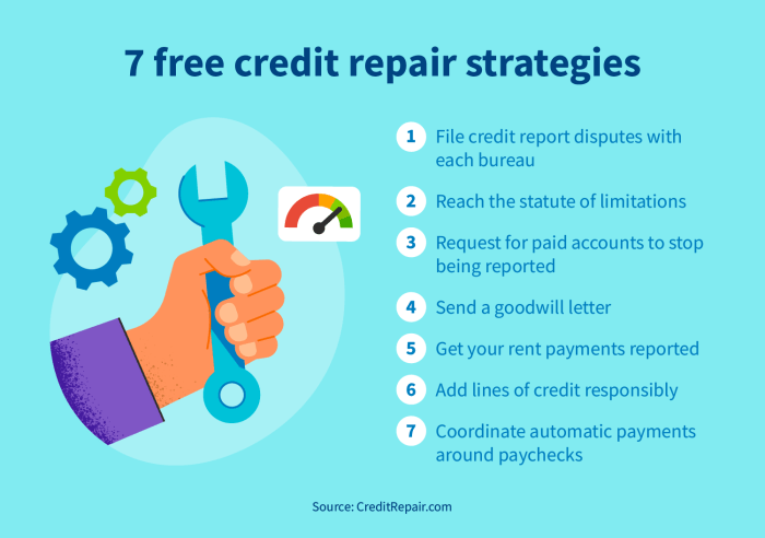 Credit strategies repair tradebit